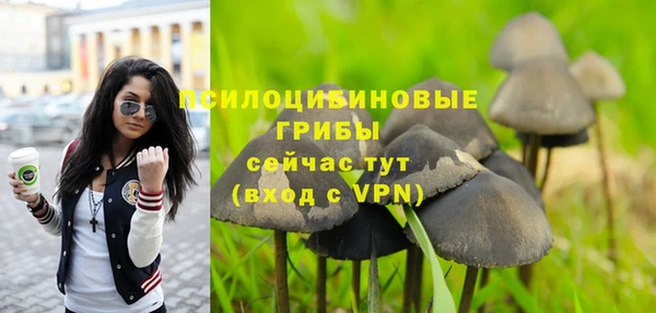 эйфоретик Дмитров