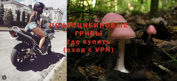 спайс Дмитриев