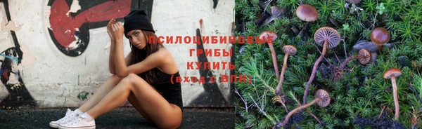 спайс Дмитриев