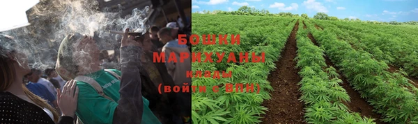 эйфоретик Дмитров