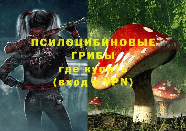эйфоретик Дмитров